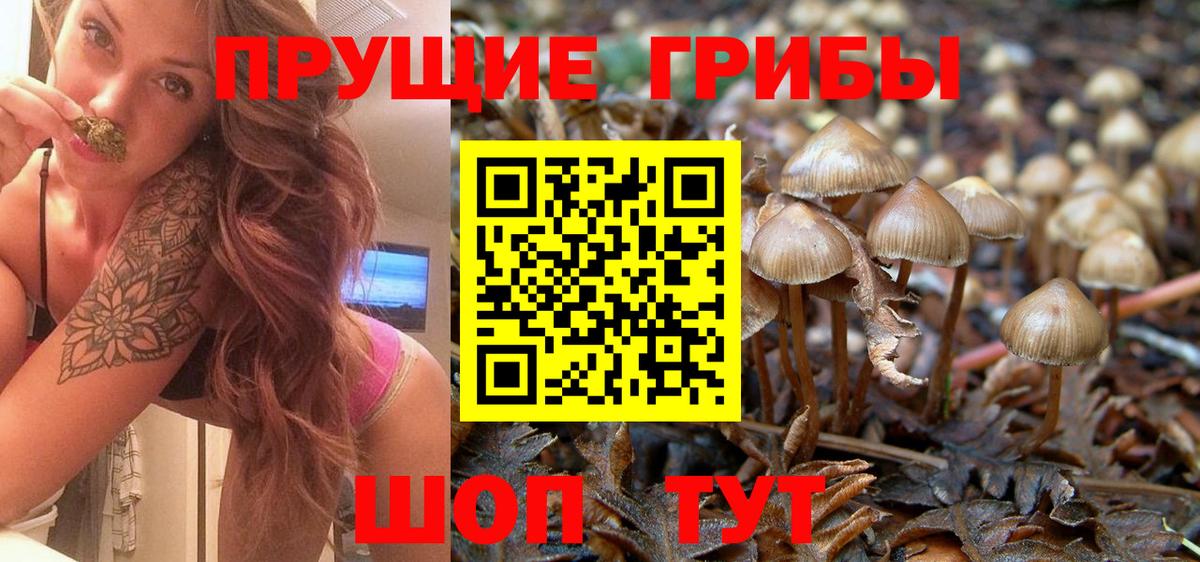 Галлюциногенные грибы MAGIC MUSHROOMS  Вход с VPN  Нягань 